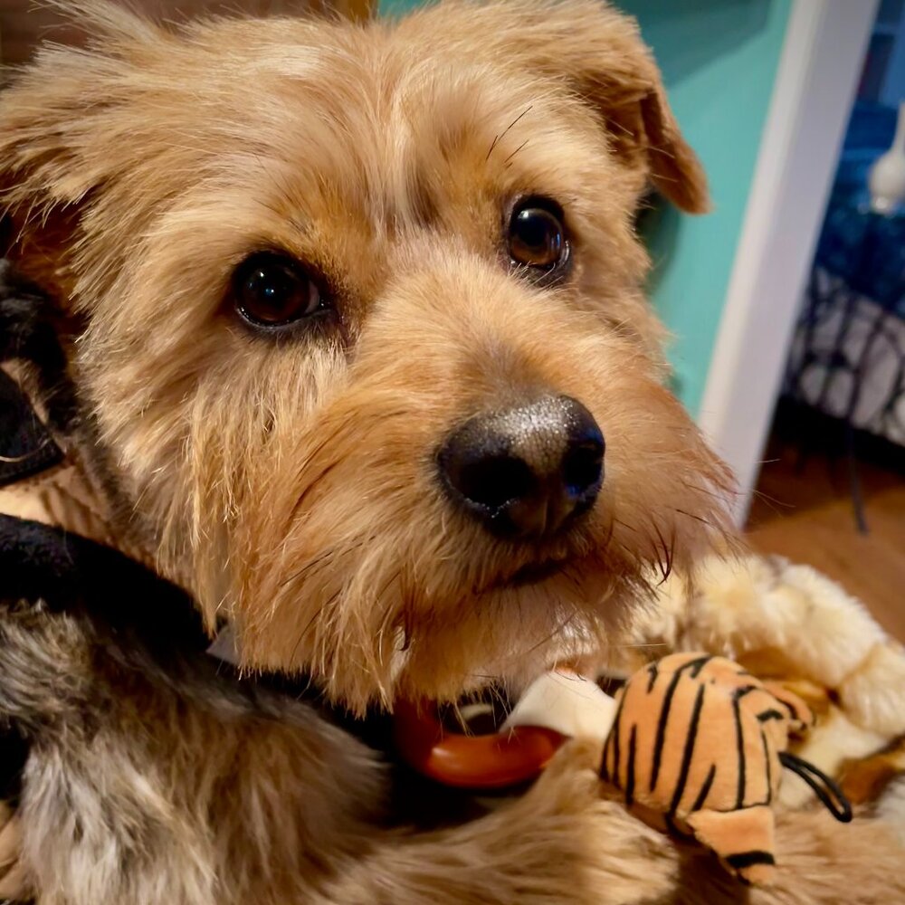 Meet your Posher, Eve